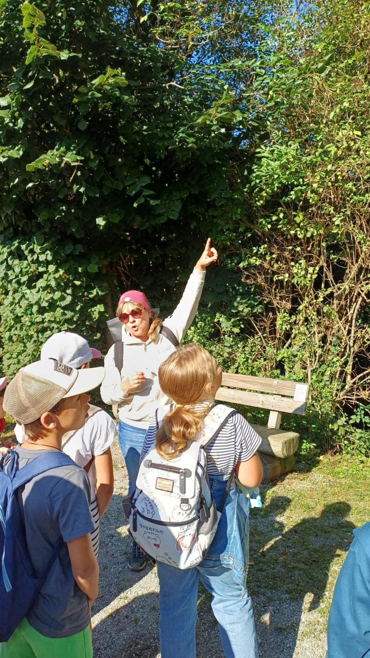 Waldspaziergang Personen