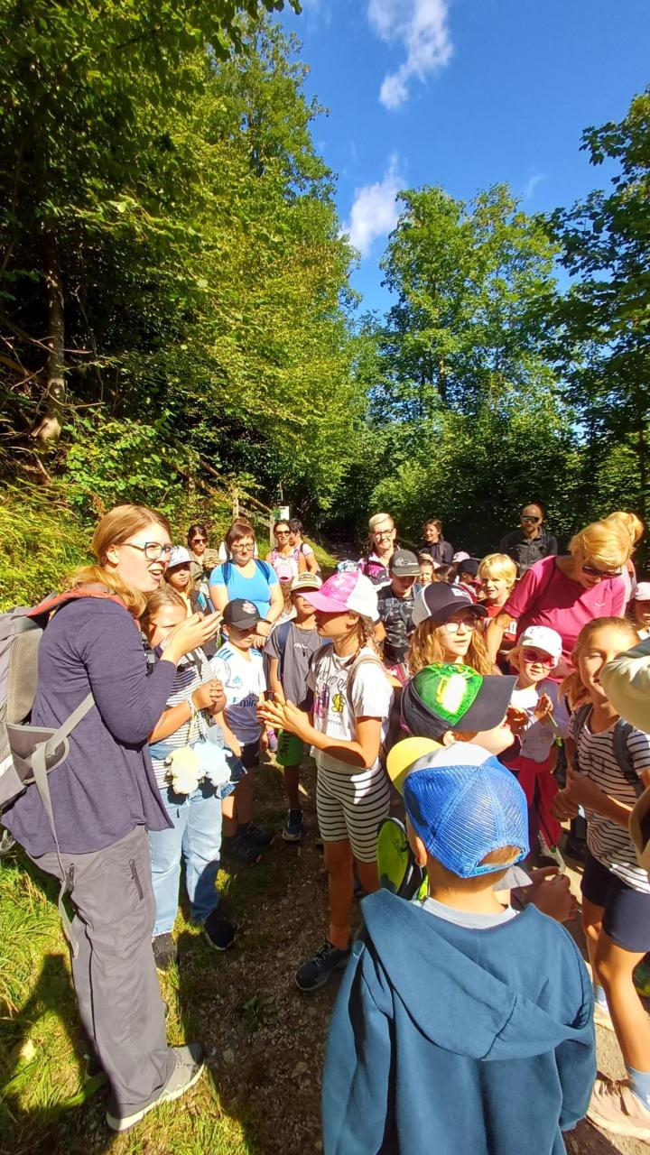 Waldspaziergang - Kinder etc.