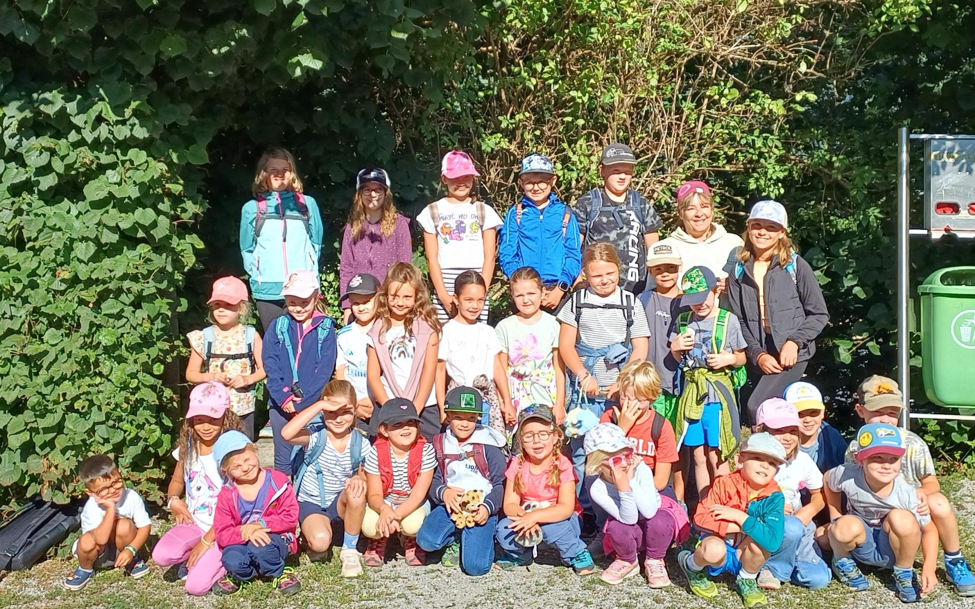Magischer Waldspaziergang mit Lesung im Zauberwald