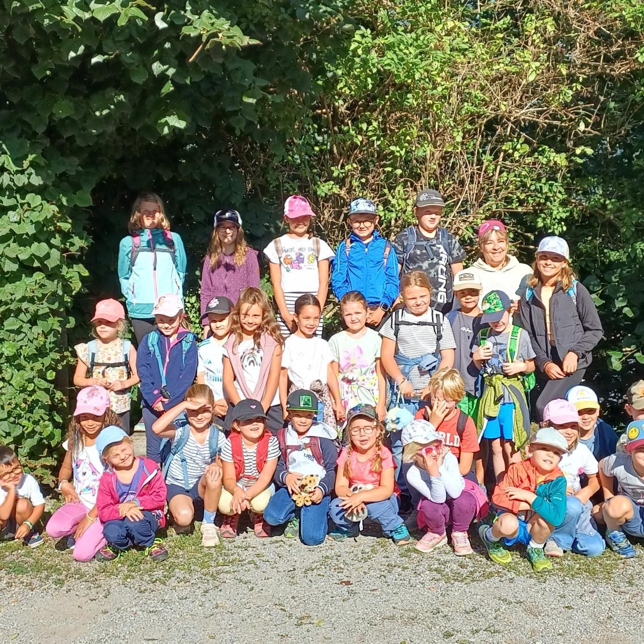 Magischer Waldspaziergang mit Lesung im Zauberwald